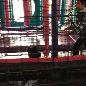 Meet your Posher, Renee